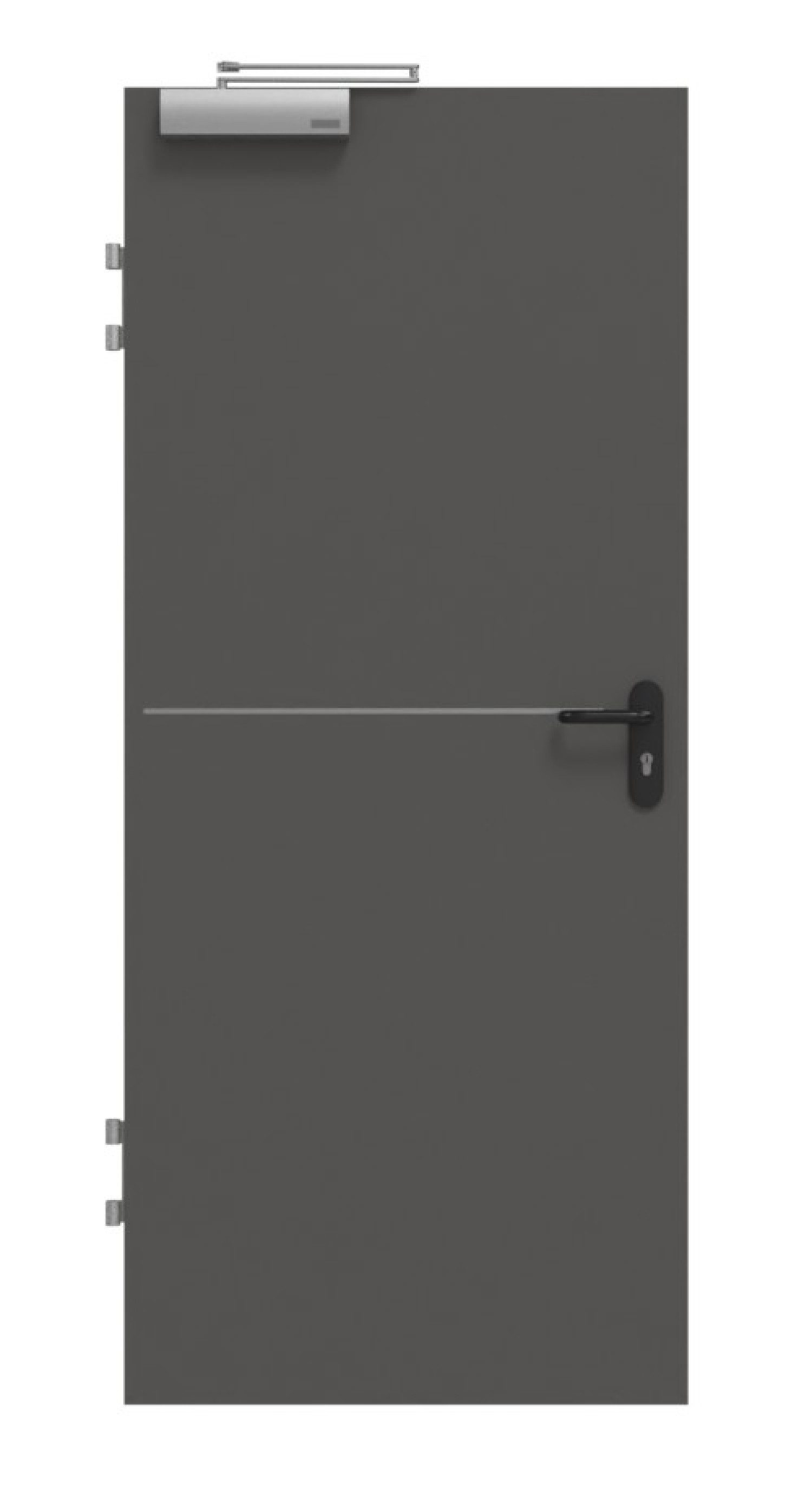 GARANT Brandschutztür T30 Corona 831 Ebony CePaL