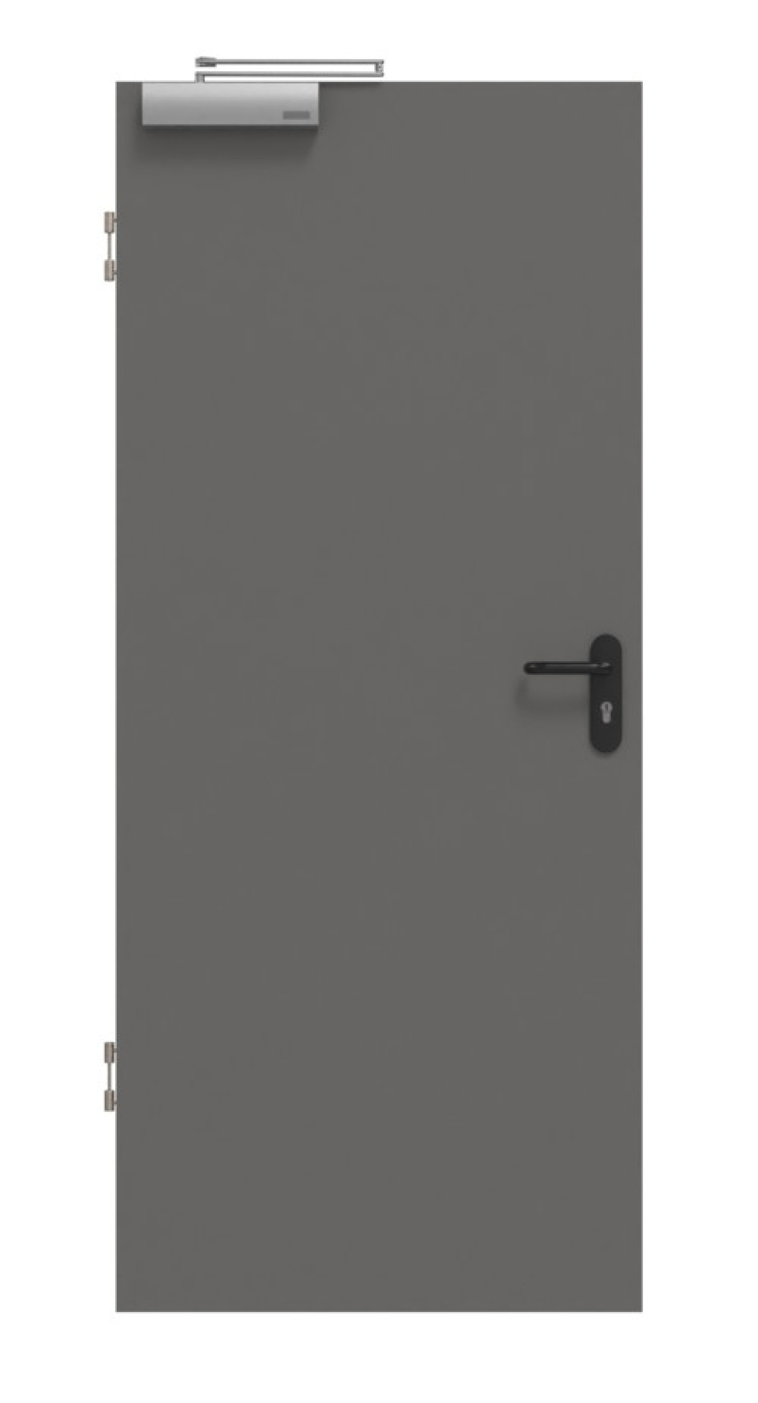 HÖRMANN Rauchschutztür Staubgrau RAL 7037 Duradecor ProLine