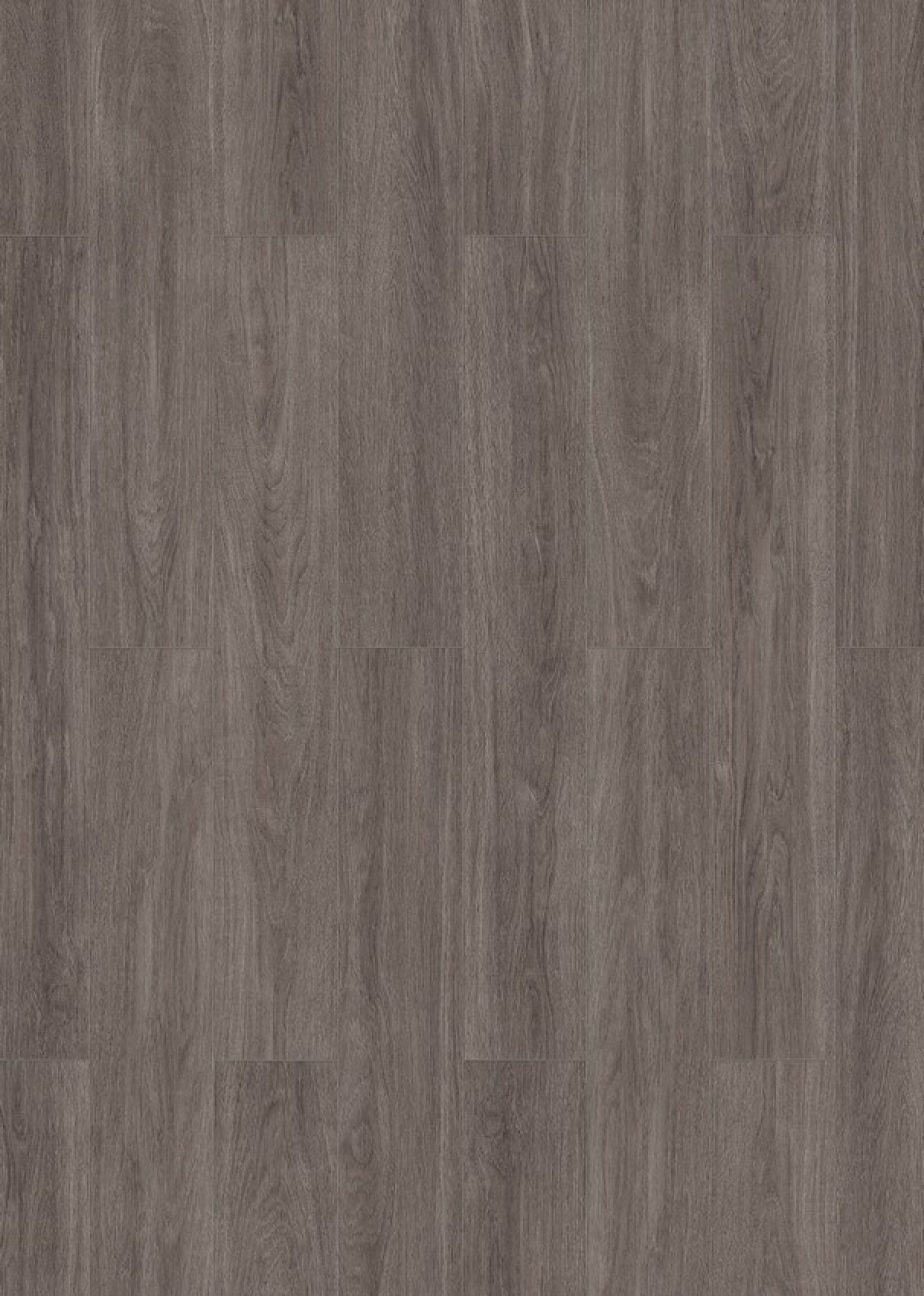 Draufsicht von Eiche graubraun strukturiert 1-Stab Living Laminat - Wiparquet