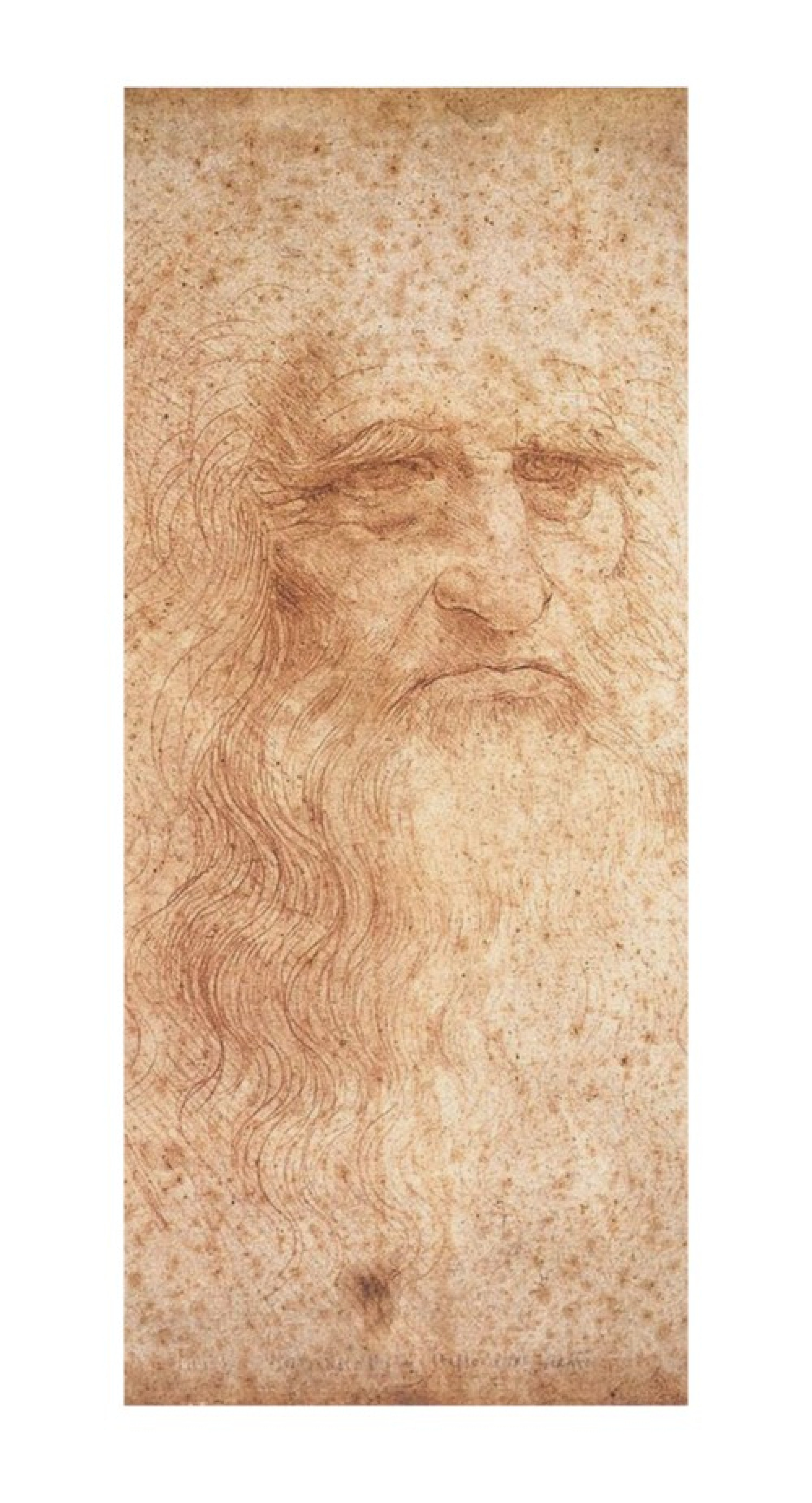 Leonardo da Vinci Reproduktion auf eigener Innentür Porträt eines Mannes