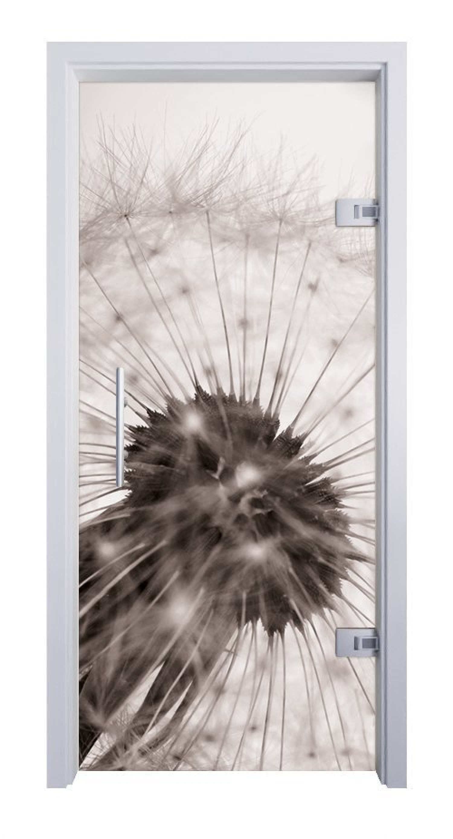 ERKELENZ Glaspendeltür Löwenzahn Fotoprint