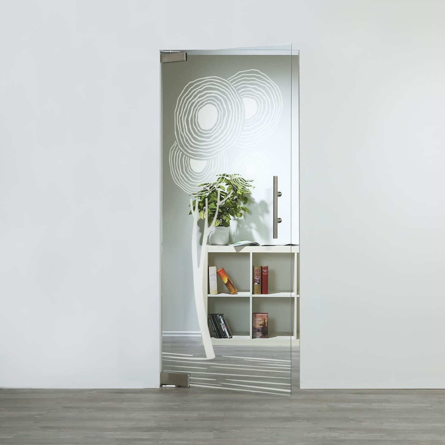 LIENBACHER GLAS Glaspendeltür Modell 380 Klarglas