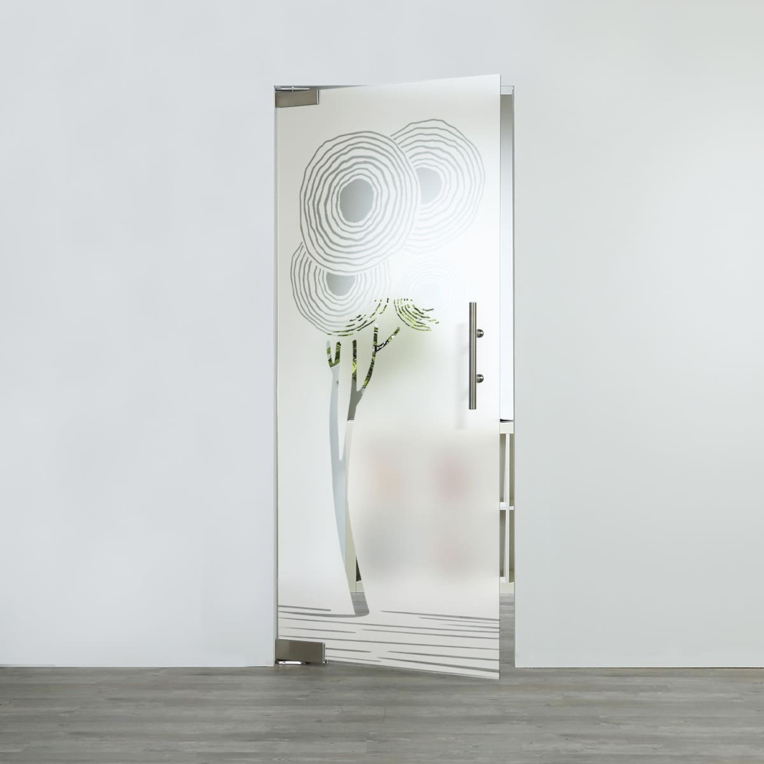LIENBACHER GLAS Glaspendeltür Modell 380 negativ Klarglas