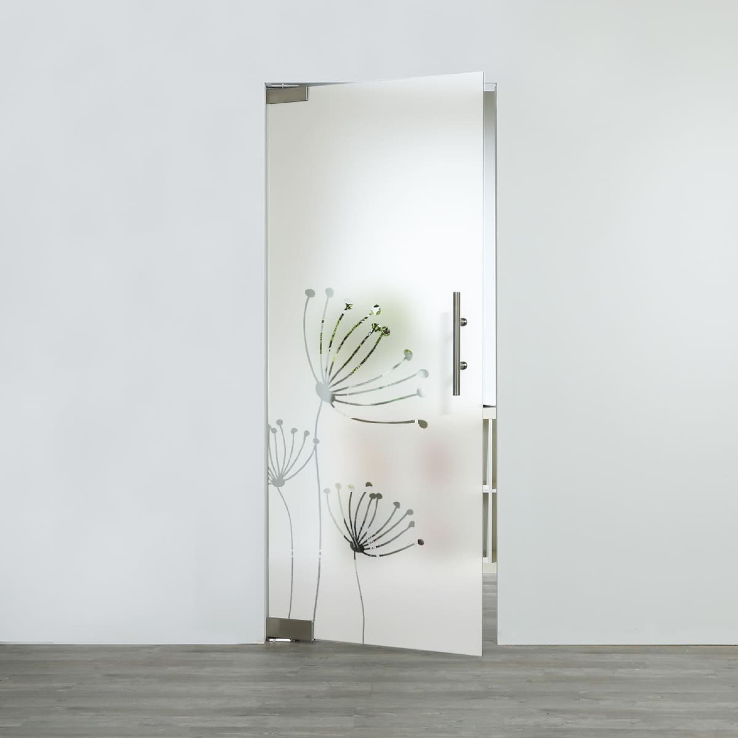 LIENBACHER GLAS Glaspendeltür Modell 386 negativ Klarglas