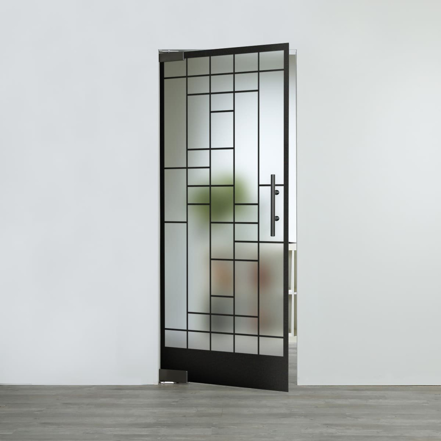 Ansicht von LIENBACHER GLAS Glaspendeltür Modell 643 Black Signature Satiniert