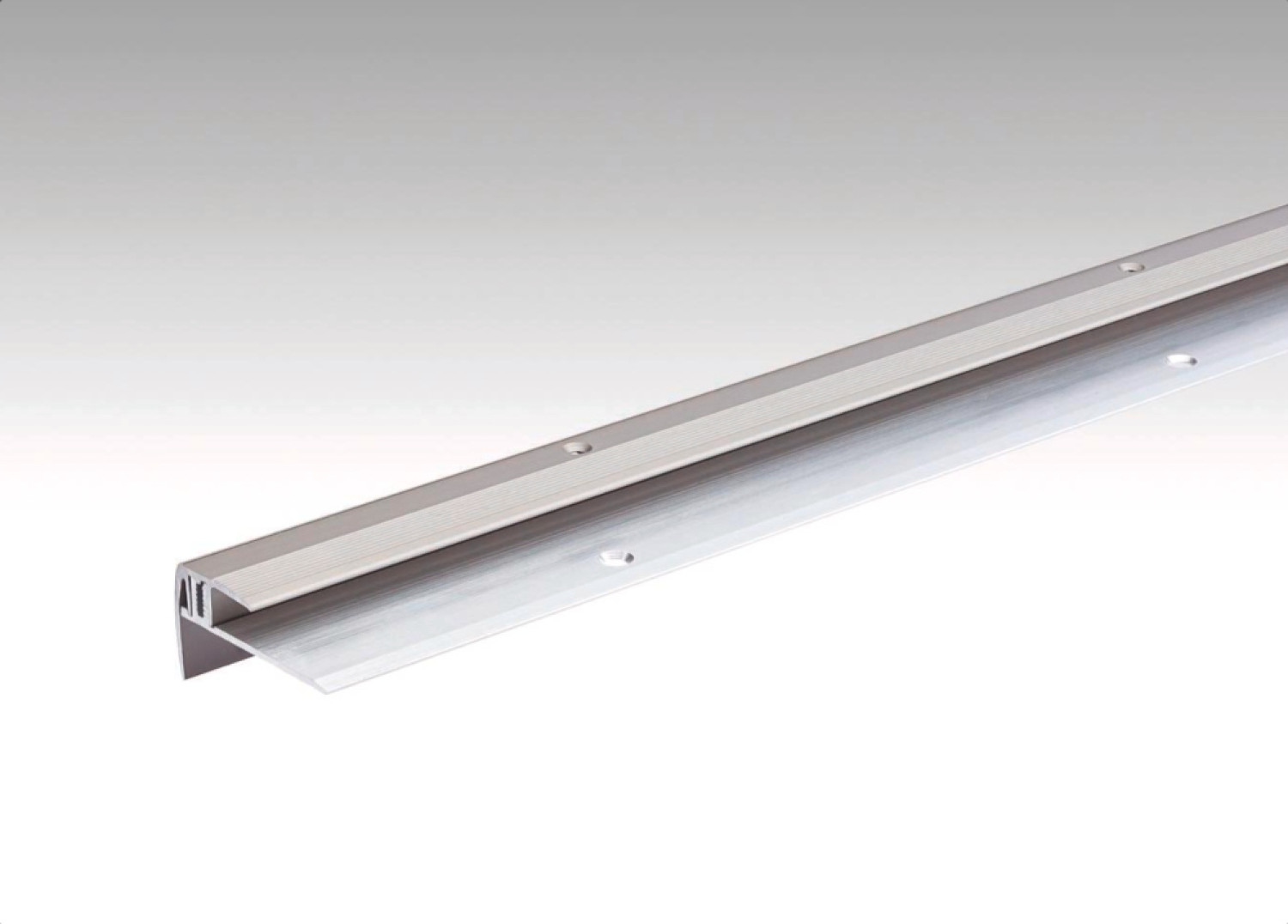 Edelstahl-Optik Treppenkantenprofil Typ 203 (100 cm) - MEISTER