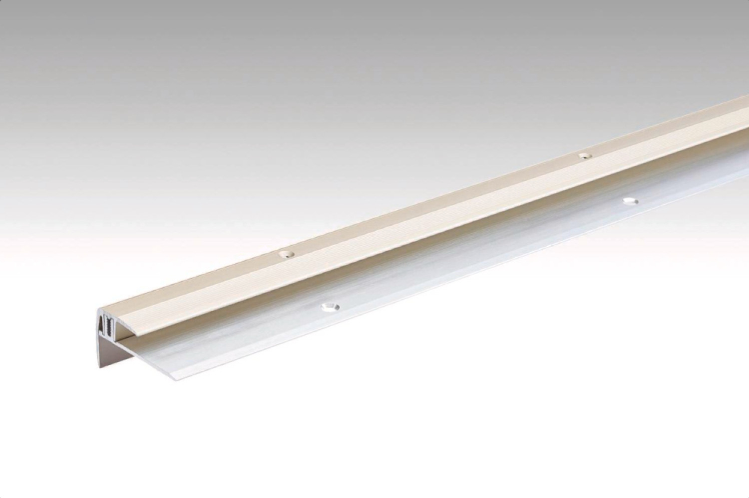 Sand Treppenkantenprofil Typ 203 (100cm) - MEISTER