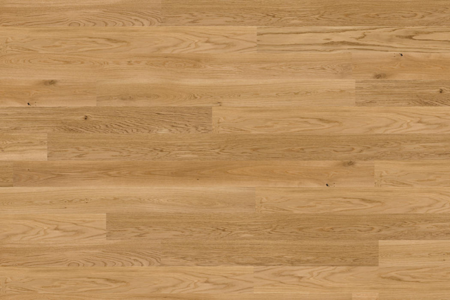 Frontansicht von Eiche Landhausdielen Nature matt lackiert (190 x 2000 mm) Parkett Pure - Tarkett