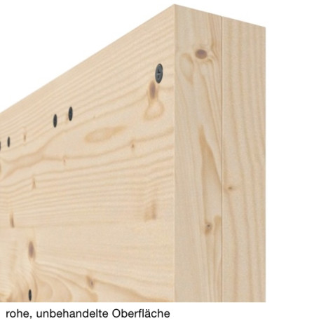 Schiebetür Altholz Loft MERID Design Holzschiebetür rustikal