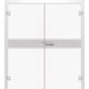 ERKELENZ Ganzglas Doppelflügeltür Alba Mattierung mit Motiv klar