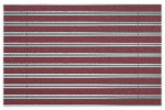 Top-Ansicht von Aluprofilmatte ROYAL Rips T09PP rot / Minibürste MB02 grau - Entrada