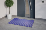 Milieubild Hauseingang mit Topfpflanze und grauen Fliesen von Aluprofilmatte KLASSIK Work B06 blau - Entrada