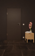 Front-Milieuansicht von GARANT Nassraumtür 10622-60 Ebony Resopal
