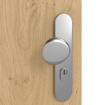 Detailansicht der Oberfläche von GARANT Wohnungseingangstür Authentic Asteiche GCK08 mit Lichtausschnitt LA-10
