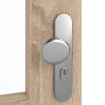 Detailansicht der Oberfläche von GARANT Wohnungseingangstür Authentic Eiche CePaL mit Lichtausschnitt LA-6