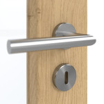 Detailansicht der Oberfläche von GARANT Schallschutztür Authentic Asteiche GCK08 mit Lichtausschnitt LA-3