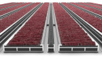 Detailansicht frontal von Aluprofilmatte ROYAL Rips T09PP rot / Minibürste MB02 grau - Entrada