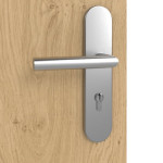 Detailansicht der Oberfläche von GARANT Wohnungseingangstür Corona 833 Authentic Asteiche CePaL