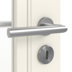 Detailbild Oberfläche RAL 9010 von Doppelflügeltür Stil Premium 23 LA 01