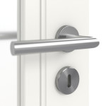 Detailbild Oberfläche RAL 9016 von Doppelflügeltür Stil Premium 23 LA 01