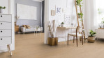 TH-hyw-scd-2902-eiche-nordens-ark-1101280103-1-Stylisch-01