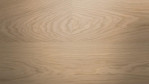 TH-hyw-scd-2902-eiche-nordens-ark-1101280103-Close