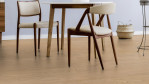 TH-hyw-scd-2902-eiche-nordens-ark-1101280103-Stylisch-02