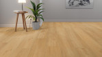 TH-laminat-trend-edition-eiche-pure-1101021843-1-Relationsbild-01