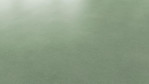 TK-fibra-green-flat-insp-55-vinyl-24522086-Schraeg-Top