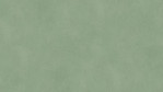 TK-fibra-green-flat-insp-70-vinyl-24511086-Top