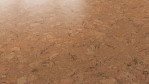 WS-cork-go-captivation-C824001-Schraeg-Top