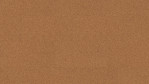 WS-cork-pure-originals-natural-AJ02002-Top