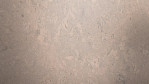 WS-cork-pure-personality-timide-AJ3J003-Close