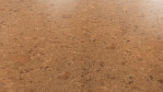 WS-cork-pure-shell-natural-AJ8E002-Schraeg