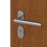 Haustür System S68 ZL ARCTIC Artemida Golden Oak-Golden Oak Detail Oberfläche