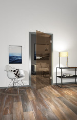 Milieu von FLEXO Klarglas Bronze 4402 Glastür