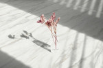 Ansicht von GERFLOR Klick-Vinyl Neo marble Senso Premium Clic Bild 4