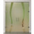 ERKELENZ Doppelflügel-Glaspendeltür Bergamo Motiv klar mit Oberlicht DORMA Tensor Variante 2