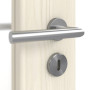 Detailbild der Oberfläche von Gebürstete Pinie LA 11 ProLine Duradecor Innentür - Hörmann