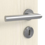 Detailbild der Oberfläche von Gebürstete Pinie LA 5 ProLine Duradecor Innentür - Hörmann