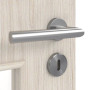 Detailbild der Oberfläche von Gebürstete Salzeiche LA 9 ProLine Duradecor Innentür - Hörmann
