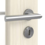 Detailbild der Oberfläche von Gebürstete Pinie DIN-LA ProLine Duradecor Innentür - Hörmann