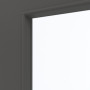 Detailansicht des Lichtausschnitts von GARANT Schiebetür 10622-60 Ebony CePaL mit Lichtausschnitt LA-10